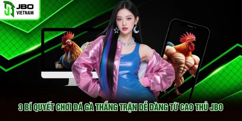 3 bí quyết chơi đá gà thắng trận dễ dàng từ cao thủ JBO