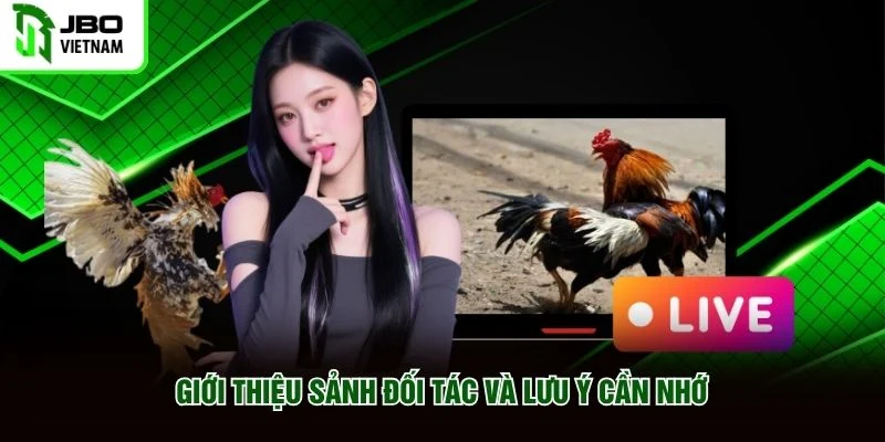 Giới thiệu sảnh đối tác và lưu ý cần nhớ