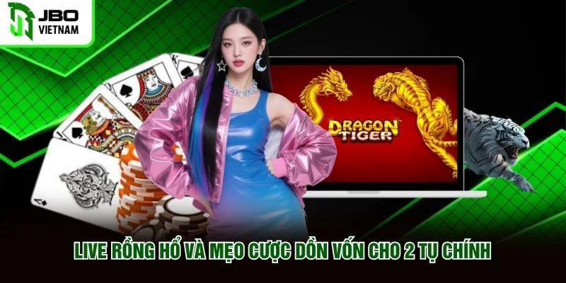Live Rồng Hổ&nbsp;và mẹo cược dồn vốn cho 2 tụ chính