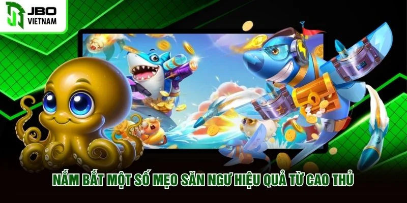 Nắm bắt một số mẹo săn ngư hiệu quả từ cao thủ