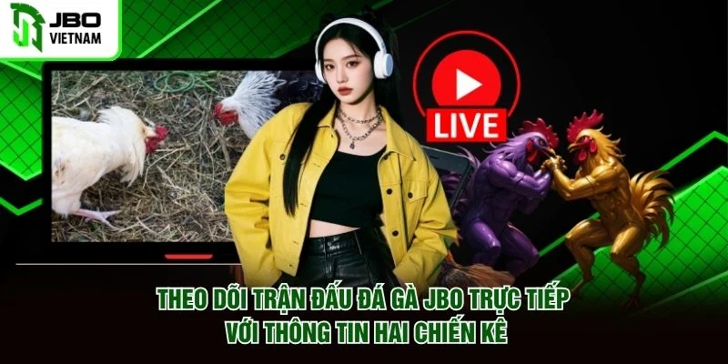 Theo dõi trận đấu đá gà Odin trực tiếp với thông tin hai chiến kê